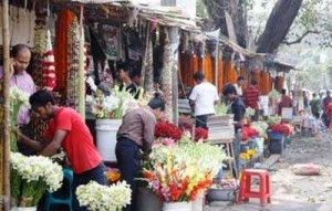 flower shop