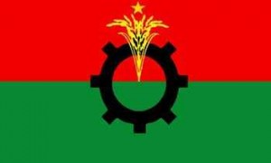 bnp logo