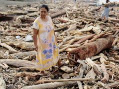 ভয়াবহ ঝড়ের কবলে এশিয়া : চার দেশে মৃত ৯ শতাধিক, নিখোঁজ বহু