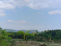 সীমান্তে মর্টার শেলের শব্দ, আতঙ্কে এলাকাবাসী