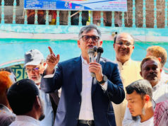 জাতীয় সংসদ নির্বাচনে বিএনপির বিজয় হবে : সালাহউদ্দিন আহমদ