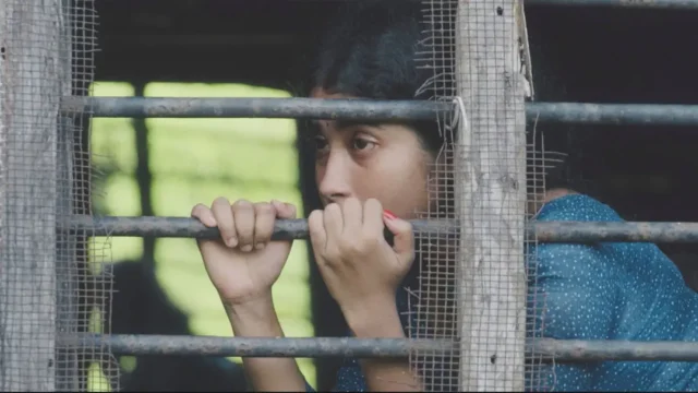 delupi-austria-prremier