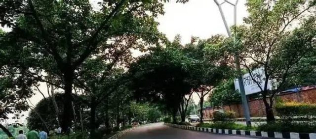 বায়ুদূষণের শীর্ষে মালয়েশিয়ার ২ শহর, ঢাকা তৃতীয়